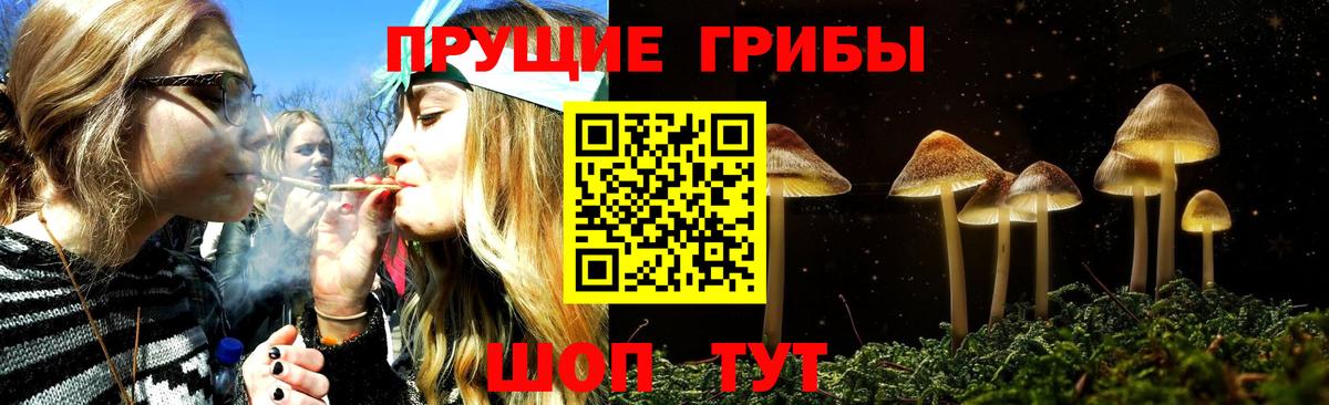 Псилоцибиновые грибы Cubensis Электросталь